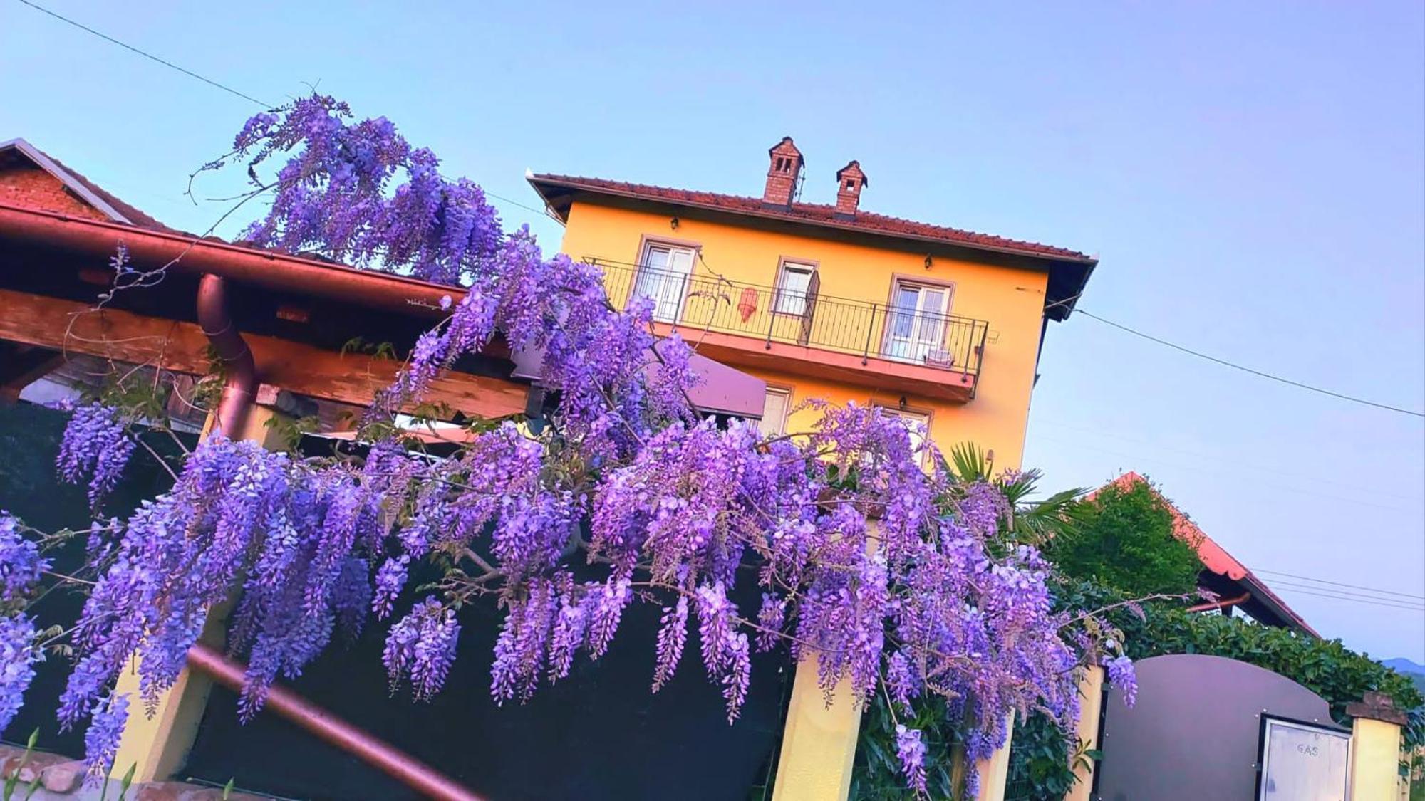 B&B Villa S Anna Hospitality Solutions Arquata Scrivia Exterior foto
